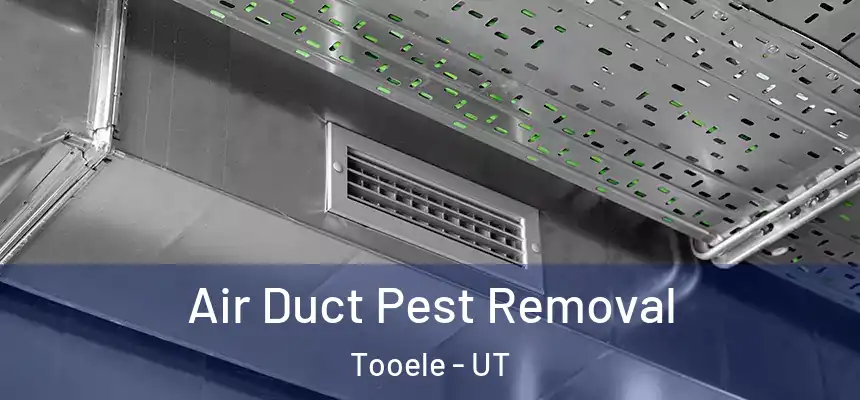 Air Duct Pest Removal Tooele - UT