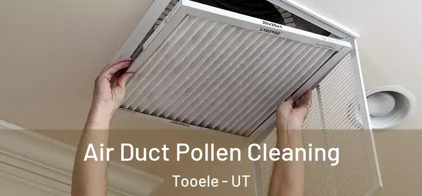 Air Duct Pollen Cleaning Tooele - UT