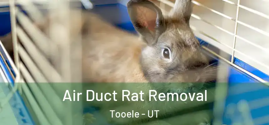 Air Duct Rat Removal Tooele - UT