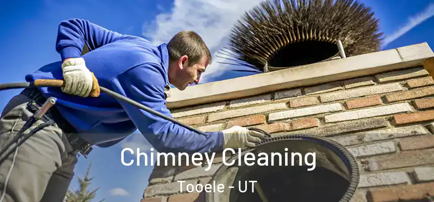  Chimney Cleaning Tooele - UT