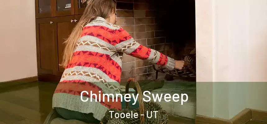 Chimney Sweep Tooele - UT