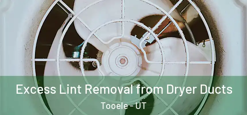 Excess Lint Removal from Dryer Ducts Tooele - UT