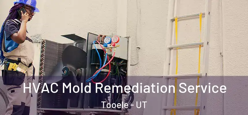  HVAC Mold Remediation Service Tooele - UT