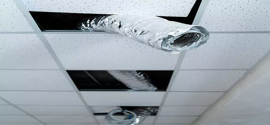 Our Air Duct Pet Hair Removal Services in Tooele, UT