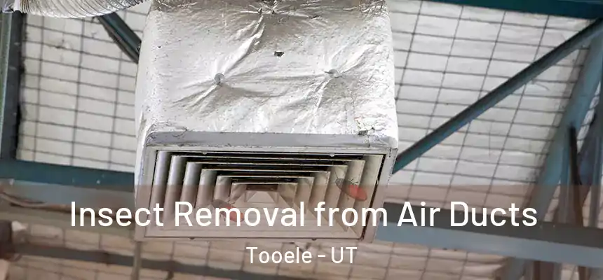 Insect Removal from Air Ducts Tooele - UT