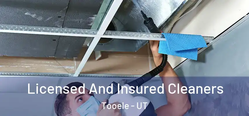  Licensed And Insured Cleaners Tooele - UT