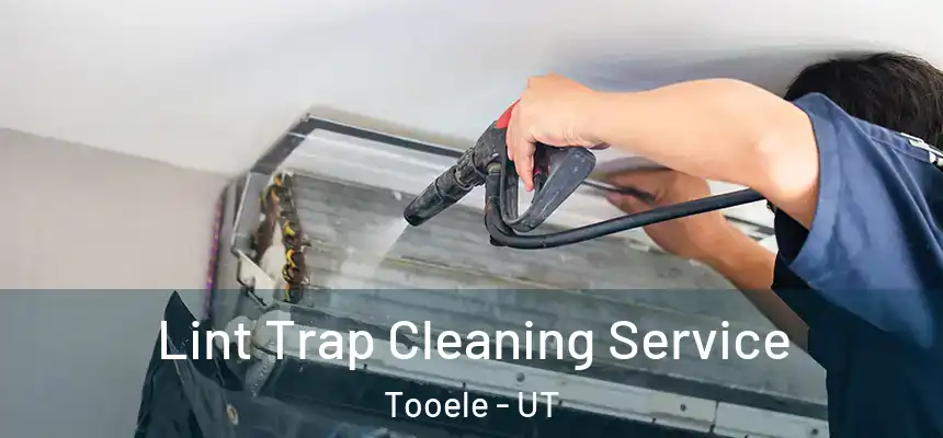  Lint Trap Cleaning Service Tooele - UT