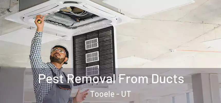  Pest Removal From Ducts Tooele - UT