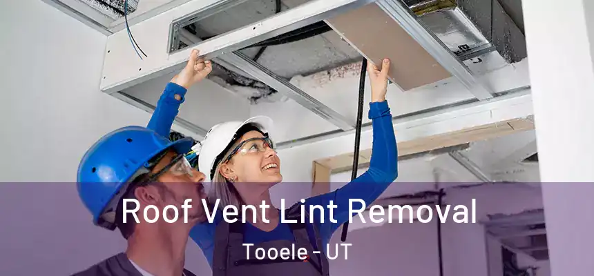 Roof Vent Lint Removal Tooele - UT