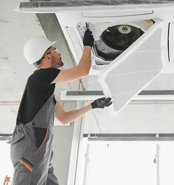 About Air Duct Rodent Removal in Tooele, UT