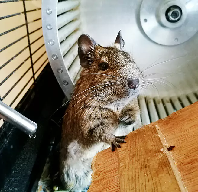 Why Homeowners & Businesses Trust Us Tooele, UT